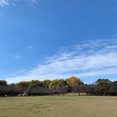 実際訪問したユーザーが直接撮影して投稿した美しが丘公園間々田美しが丘公園の写真