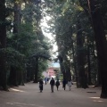 実際訪問したユーザーが直接撮影して投稿した宮中神社鹿島神宮の写真