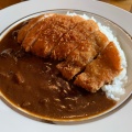 清泉寮カツカレー - 実際訪問したユーザーが直接撮影して投稿した高根町清里洋食清泉寮本館レストランの写真のメニュー情報