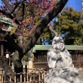 実際訪問したユーザーが直接撮影して投稿した北品川神社荏原神社の写真