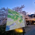 実際訪問したユーザーが直接撮影して投稿した弥彦公園弥彦公園の写真