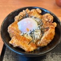 温玉からあげ丼 - 実際訪問したユーザーが直接撮影して投稿した錦町からあげからやま 千歳店の写真のメニュー情報