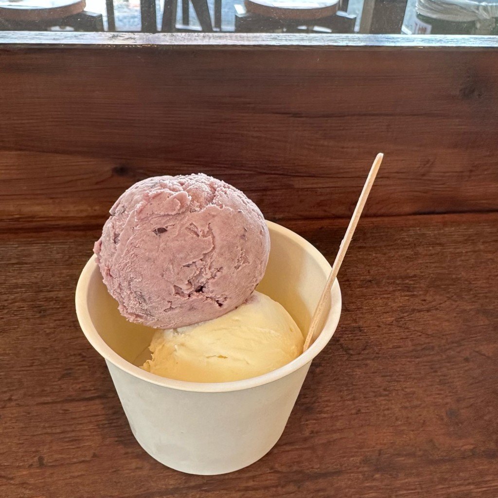 旅スルていぬさんが投稿した鵠沼海岸スイーツのお店Hilo Homemade Ice Cream/ヒロ ホームメイドアイスクリームの写真