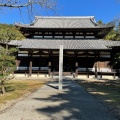 実際訪問したユーザーが直接撮影して投稿した根来寺根來寺の写真