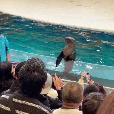 鳥羽水族館のundefinedに実際訪問訪問したユーザーunknownさんが新しく投稿した新着口コミの写真