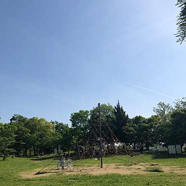 実際訪問したユーザーが直接撮影して投稿した阿弥公園舟渡池公園の写真