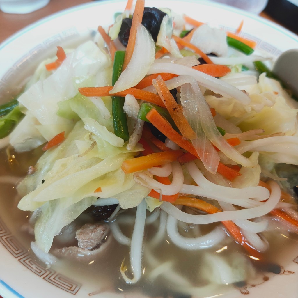ユーザーが投稿した野菜たっぷりタンメンの写真 - 実際訪問したユーザーが直接撮影して投稿した下新井うどん山田うどん食堂 下新井店の写真