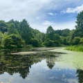 実際訪問したユーザーが直接撮影して投稿した発地植物園 / 樹木園軽井沢レイクガーデンの写真