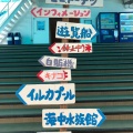 実際訪問したユーザーが直接撮影して投稿した松島町合津水族館 / アクアリウム天草パールガーデン&海中水族館シードーナツの写真