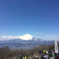 実際訪問したユーザーが直接撮影して投稿した仙石原山 / 峠金時山の写真