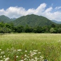 実際訪問したユーザーが直接撮影して投稿した簾舞うどん花見月の写真