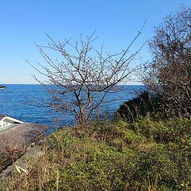 実際訪問したユーザーが直接撮影して投稿した河川相模湾の写真