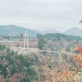 実際訪問したユーザーが直接撮影して投稿した田野橋九重 夢 大吊橋の写真