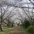 実際訪問したユーザーが直接撮影して投稿した実籾公園実籾本郷公園の写真