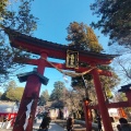 実際訪問したユーザーが直接撮影して投稿した東郷神社大前神社の写真