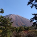 実際訪問したユーザーが直接撮影して投稿した小林産地直売所大山まきば みるくの里の写真