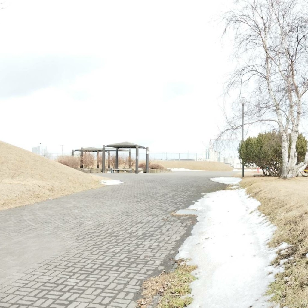 実際訪問したユーザーが直接撮影して投稿した鳥取南公園鳥取7号公園の写真