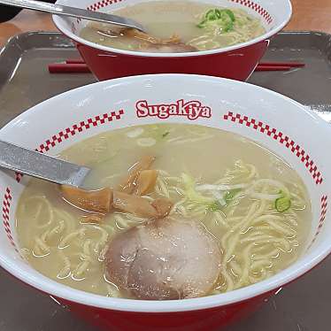 実際訪問したユーザーが直接撮影して投稿した堀の内ラーメン専門店スガキヤ MEGAドン・キホーテUNY小牧店の写真