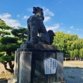 実際訪問したユーザーが直接撮影して投稿した藤方神社結城神社の写真