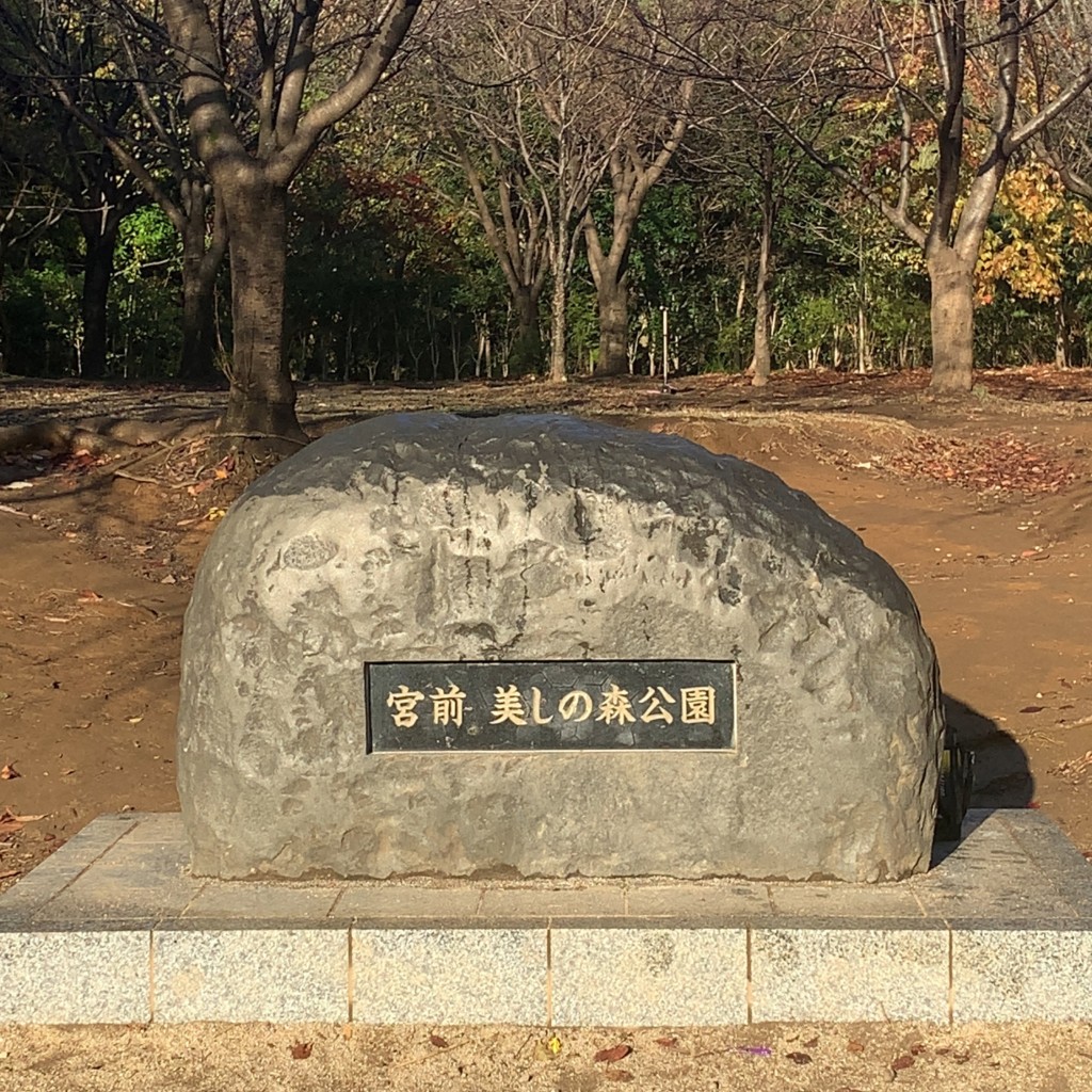 実際訪問したユーザーが直接撮影して投稿した犬蔵公園宮前美しの森公園の写真