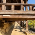 実際訪問したユーザーが直接撮影して投稿した宮島町神社豊国神社(千畳閣)の写真