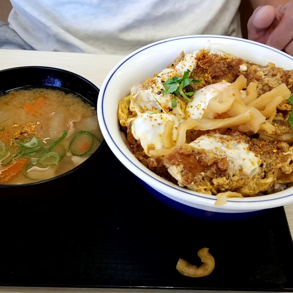 ユーザーが投稿した特カツ丼の写真 - 実際訪問したユーザーが直接撮影して投稿した西野とんかつかつや 和歌山岩出店の写真