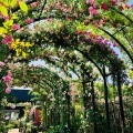 実際訪問したユーザーが直接撮影して投稿した西平沼町植物園 / 樹木園横浜イングリッシュガーデンの写真