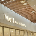 実際訪問したユーザーが直接撮影して投稿した寿町カフェ猫カフェ Moff animal cafe アリオ倉敷店の写真