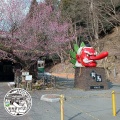 実際訪問したユーザーが直接撮影して投稿した鞍馬本町観光施設鞍馬山大天狗の写真