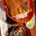 うな丼 - 実際訪問したユーザーが直接撮影して投稿した田口うなぎ富田屋の写真のメニュー情報