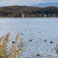 実際訪問したユーザーが直接撮影して投稿した符津町公園木場潟公園の写真