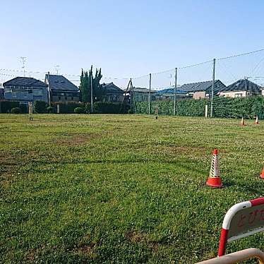 実際訪問したユーザーが直接撮影して投稿した新駒林公園鈴木公園の写真