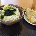 かけうどん - 実際訪問したユーザーが直接撮影して投稿した三谷町うどんこがね製麺所 高松三谷店の写真のメニュー情報