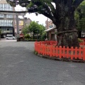 実際訪問したユーザーが直接撮影して投稿した下荒田神社荒田八幡宮の写真