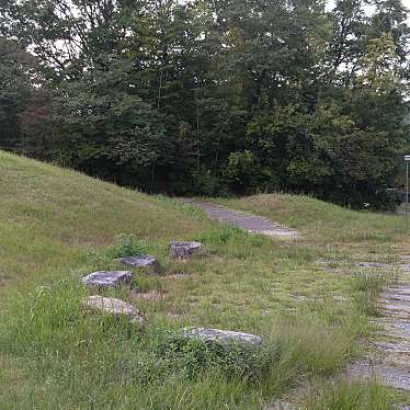 実際訪問したユーザーが直接撮影して投稿した田原台公園戎公園の写真