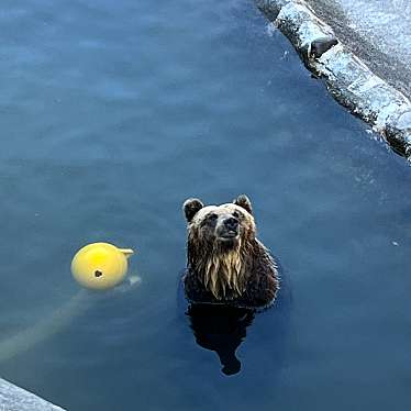 もりのみさんが投稿した登別温泉町動物園のお店のぼりべつクマ牧場/ノボリベツクマボクジョウの写真