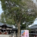 実際訪問したユーザーが直接撮影して投稿した宇治神社縣神社の写真