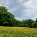 実際訪問したユーザーが直接撮影して投稿した真駒内公園公園北海道立真駒内公園の写真