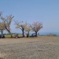 実際訪問したユーザーが直接撮影して投稿した万田公園高麗山公園の写真