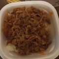 牛丼並弁当 - 実際訪問したユーザーが直接撮影して投稿した道後樋又牛丼すき家 松山道後樋又店の写真のメニュー情報