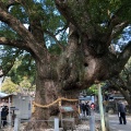 実際訪問したユーザーが直接撮影して投稿した大麻町板東神社大麻比古神社の写真