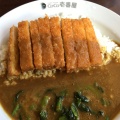 チキンカツカレー+ホウレンソウ - 実際訪問したユーザーが直接撮影して投稿した久万ノ台カレーCoCo壱番屋 松山久万ノ台店の写真のメニュー情報