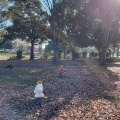 実際訪問したユーザーが直接撮影して投稿した赤城台公園あかぎ公園の写真
