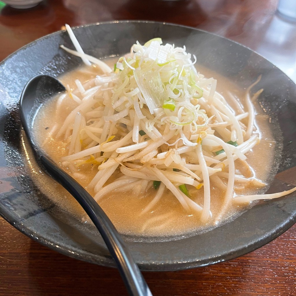 実際訪問したユーザーが直接撮影して投稿したみたけラーメン専門店柳家 みたけ店の写真