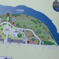 実際訪問したユーザーが直接撮影して投稿した高州公園みさと公園の写真