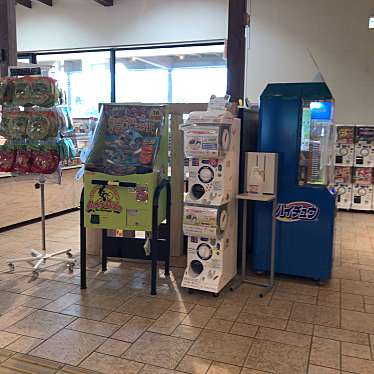 やまんぐーハブさんが投稿した南島松道の駅のお店道と川の駅 花ロードえにわ/ミチトカワノエキ ハナロードエニワの写真