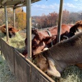 実際訪問したユーザーが直接撮影して投稿した小比企町カフェTOKYO FARM VILLAGEの写真