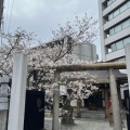 実際訪問したユーザーが直接撮影して投稿した駒込神社大国神社の写真