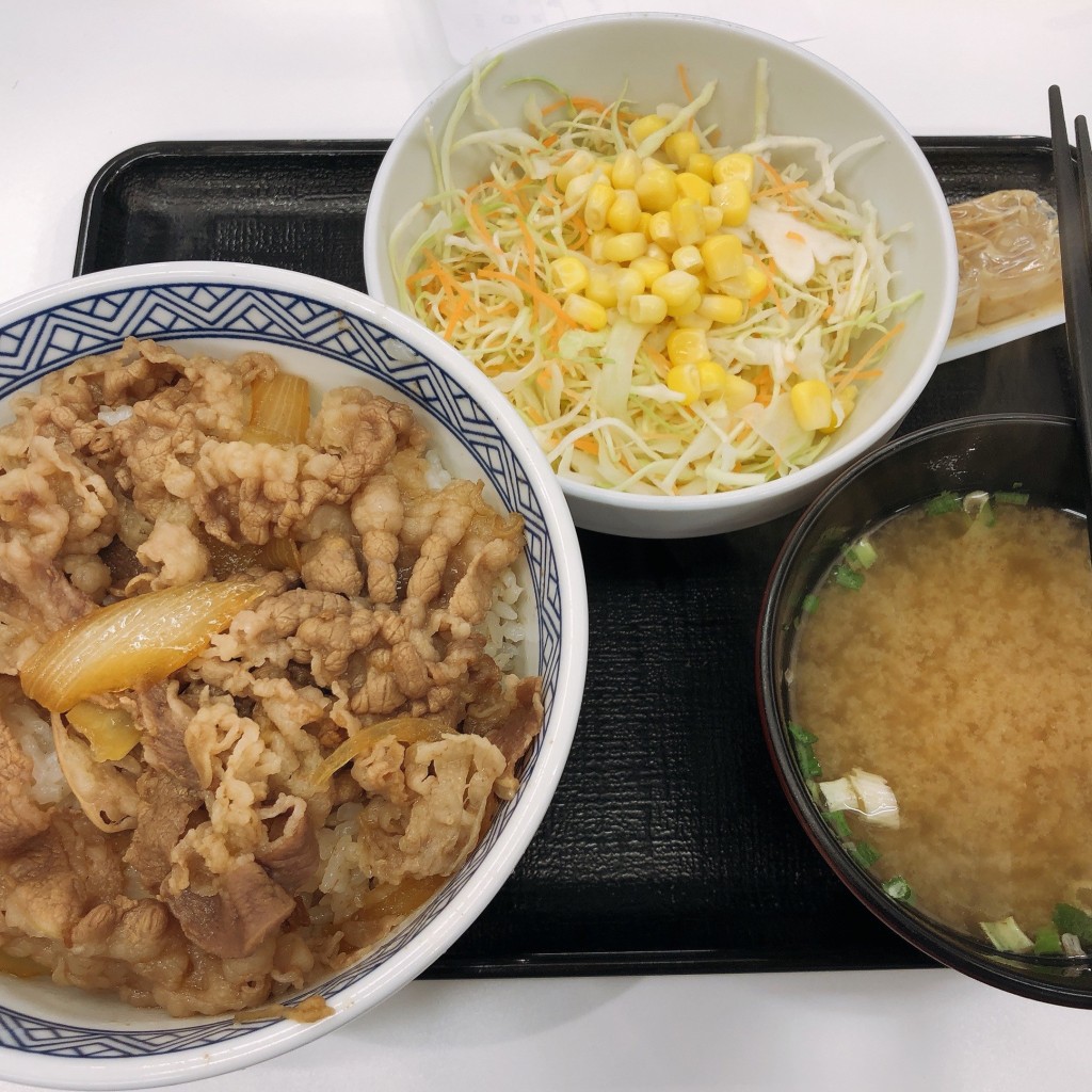 ユーザーが投稿した牛丼サラダセットの写真 - 実際訪問したユーザーが直接撮影して投稿した五番町牛丼吉野家 市ヶ谷駅前店の写真