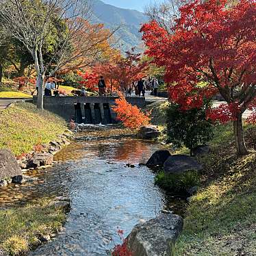 香川用水記念公園のundefinedに実際訪問訪問したユーザーunknownさんが新しく投稿した新着口コミの写真